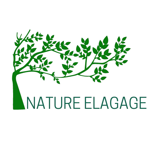 NATURE ELAGAGE